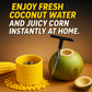 Kitchen Combo - Coconut Opener & Corn Peeler